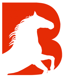 Bestindo Inti Perkasa