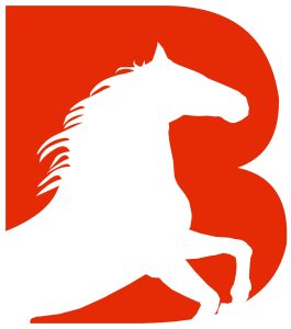 Logo PT Bestindo Inti Perkasa